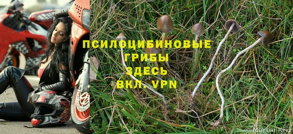 СК Мегион