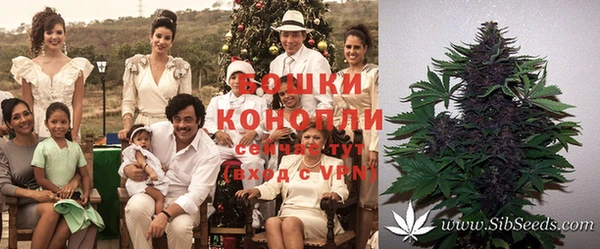 спиды Медвежьегорск