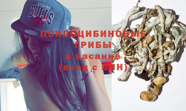 ешки Михайлов