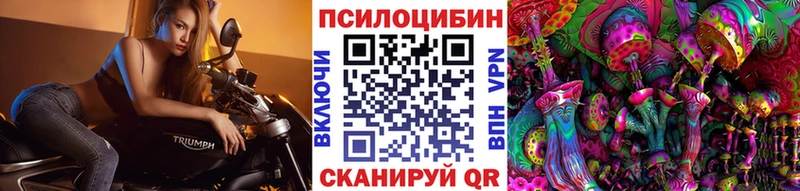 Галлюциногенные грибы Psilocybe  OMG маркетплейс  Менделеевск 