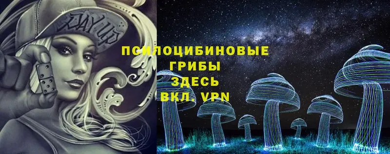 hydra зеркало  магазин  наркотиков  Менделеевск  Галлюциногенные грибы Magic Shrooms 