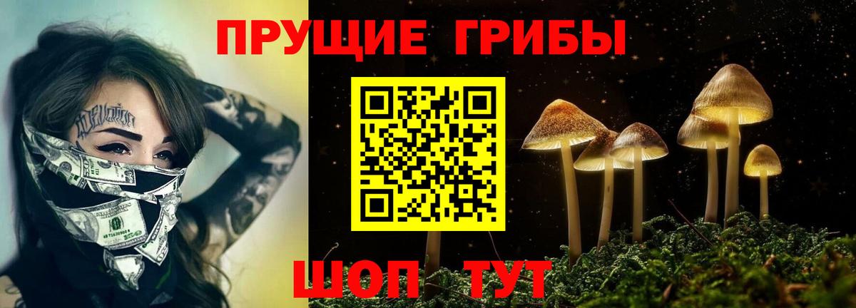 Галлюциногенные грибы мицелий  как найти наркотики  Менделеевск  Вход с VPN 